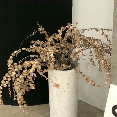 Furry绘画光影解析Furry群